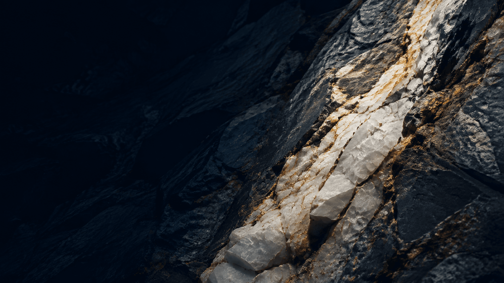 About Nexus